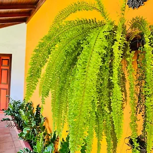 Bed & Breakfast Breeze Of Paradise, Nugegoda